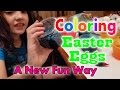 Coloring Easter Eggs Fun New Rice Shaker and Color Dip | Cammi TV