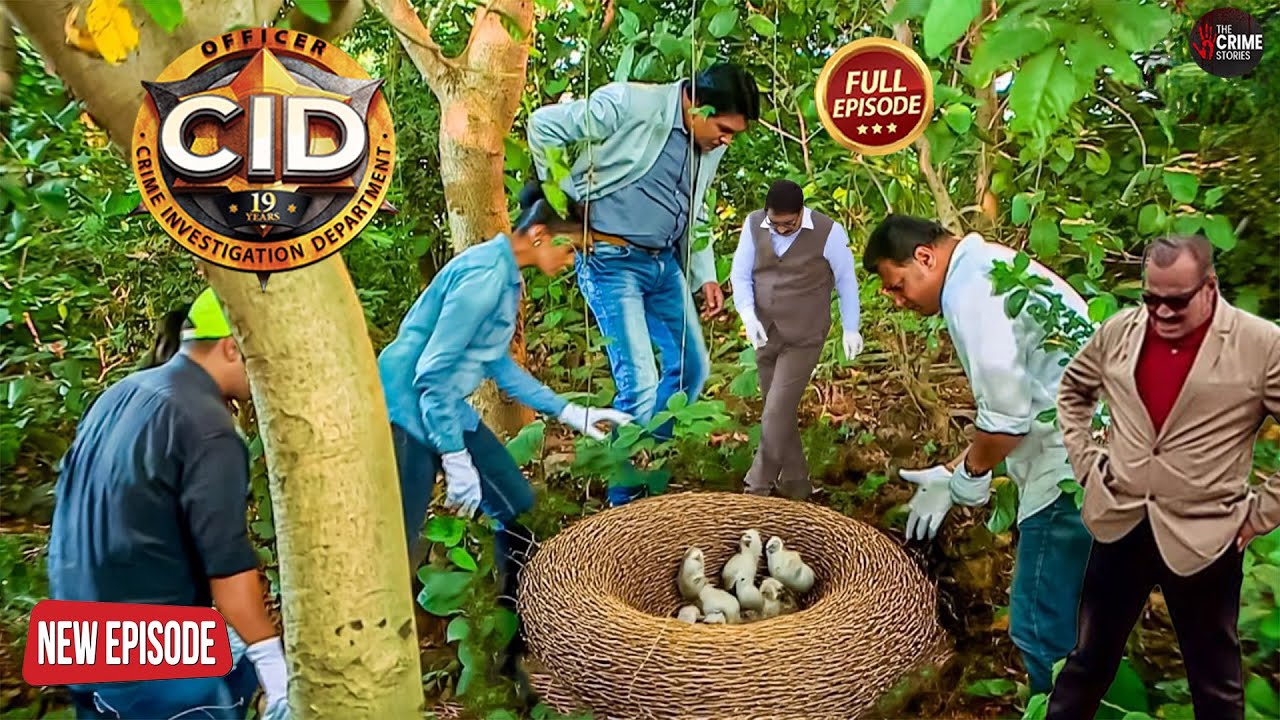 जंगल के बीच मिला एक ऐसा घोंसला, जिसे देख CID रह गई हैरान! | CID | Best Of CID Full Episode 2025