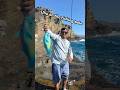 Fishing for birds🎣🦜 @majorcrafttube @oakleymeta #hawaii#fishing#fishingreels#fishingshorts#uhu