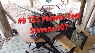 20 gauge Stevens 301 pattern test