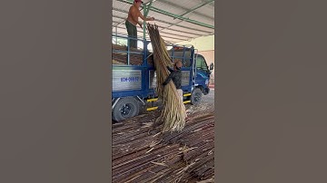 Lá dừa nước lợp nhà ai cần liên hệ vựa lá dừa Vân 0909143895