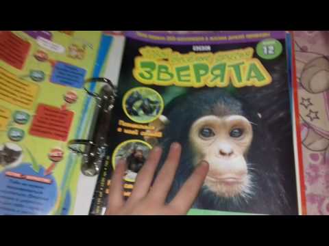 Моя колекція журналів Твои весёлые друзья зверята 1частина
