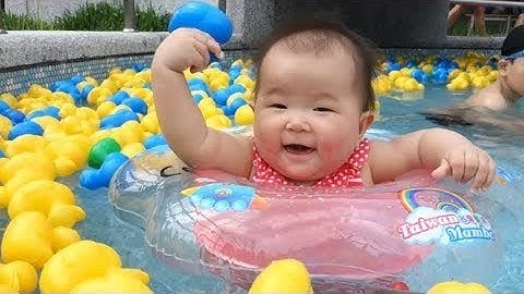 Con Cò Bé Bé Xuân Mai ❤ Cháu Lên Ba, Cháu Đi Mẫu Giáo ♫ Nhạc Thiếu Nhi Hay Vui Nhộn Cho Bé