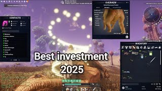 Entropia Universe  The Best Investment