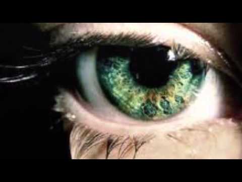 არადა დამენანები