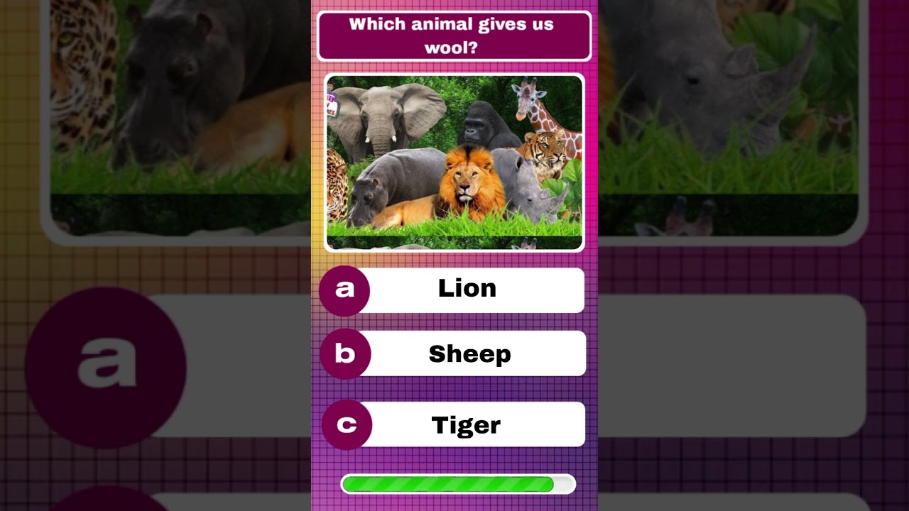 which animals gives us wool..?