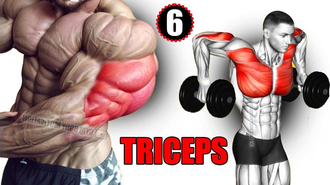BEST 6 Magic Exercises For Bigger Triceps - YouTube