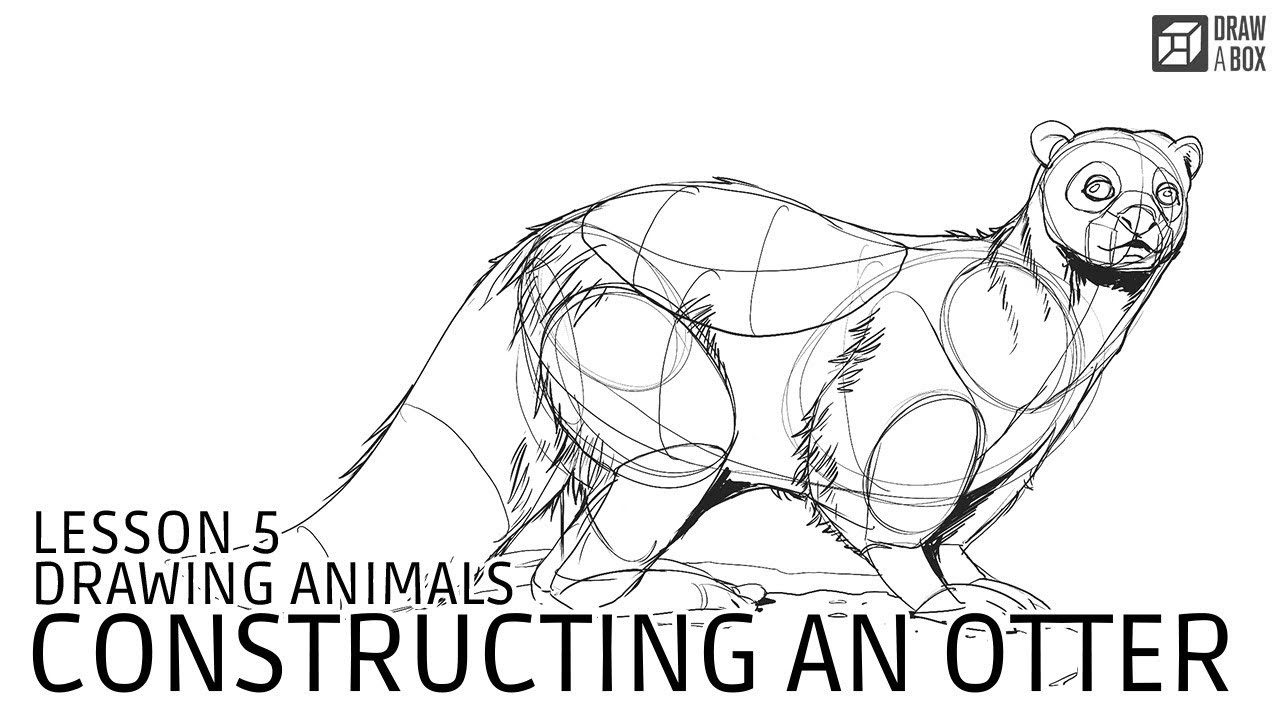 How to Draw a Bull Step by Step. Drawing animals can be a fun and… | by Han  Sumi | Medium