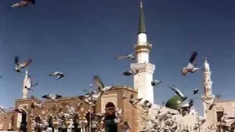 ما تيسر من سورة التوبة بصوت الشيخ محمد أيوب رحمه الله