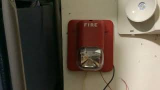 System sensor spectralert classic remote strobe test
