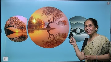 Chapter 3 Mirror and Water Images | Aptitude and Reasoning Class 5