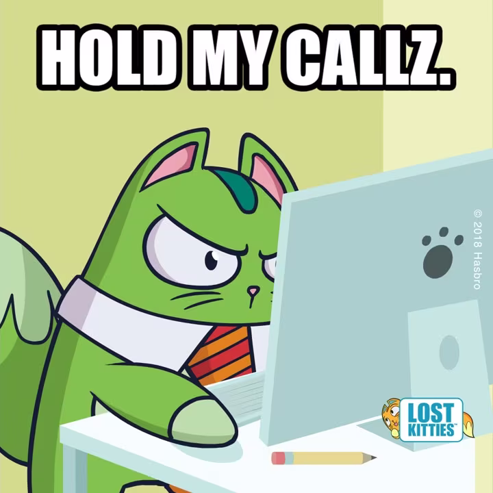 Lost Kitties – Meet Francis 🐱 #SquadGoals