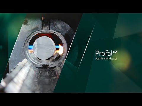 Profal — פרופיל חברה בעברית
