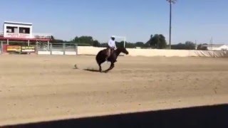 GSSHA AUG 2015 Futurity NP- reining by Hammer Ranch 337 views 8 years ago 3 minutes, 29 seconds