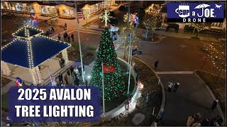 🌲Avalon DAZZLED in their 2025 Tree Lighting Ceremony | 4K Drone Footage Details