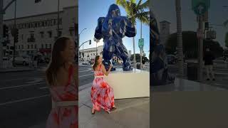 Rodeo Drive behavior 😭🦍