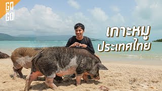 Piggy Island nearby Koh Samui​ | Koh Mat Sum​ | Gowentgo 2020