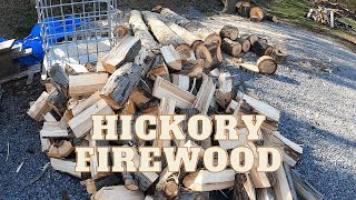 Famous Stihl MS 311 Processes Free Hickory Logs Net Worth