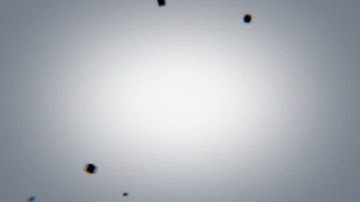 Black Particles Title