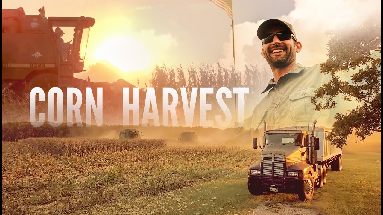 Corn Harvest Meeker Farms + Words of Farming Wisdom - YouTube