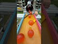 Marble Run ☆ Promising New Performer④