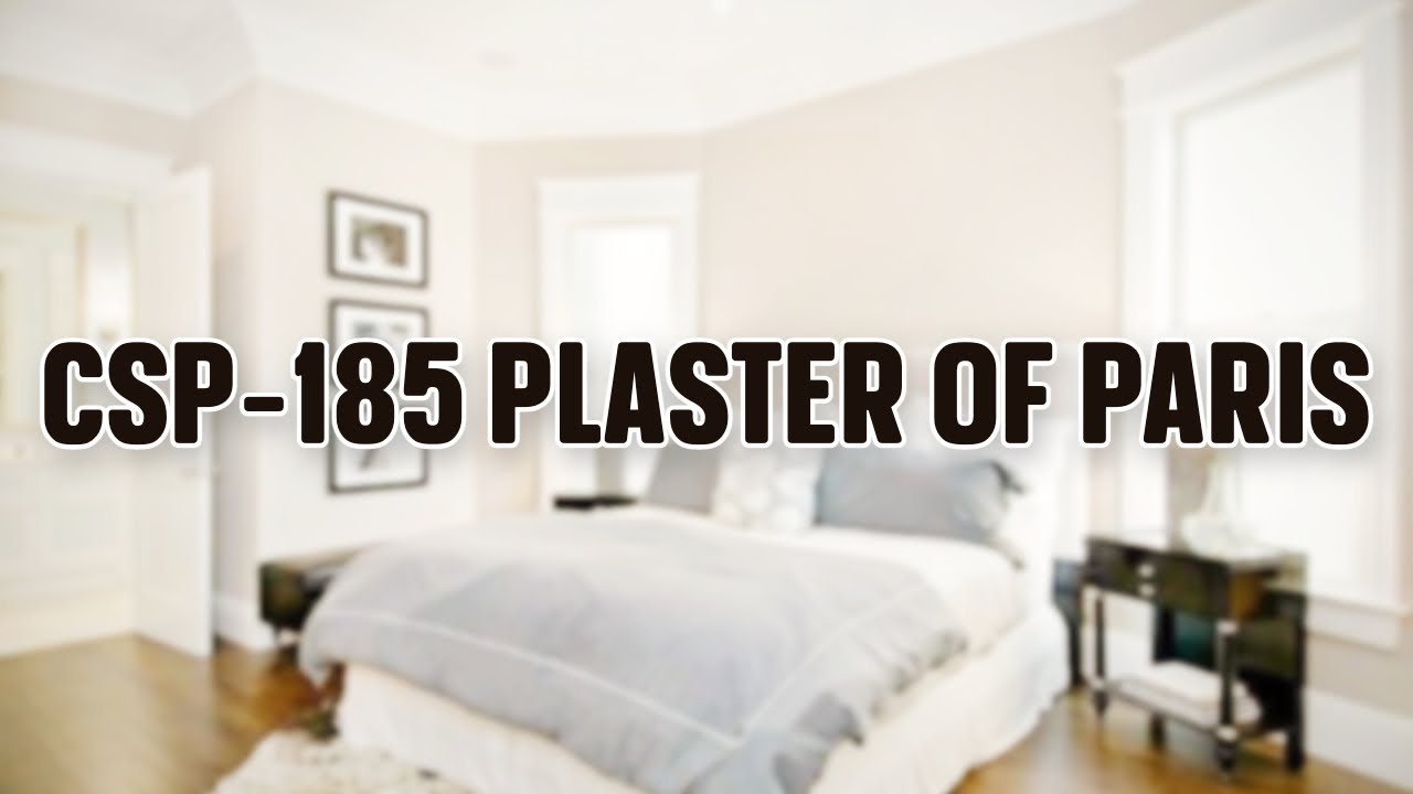 BRAND NEW Neutral Paint Color PLASTER OF PARIS by BENJAMIN MOORE