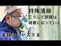 【特殊清掃】夏場の孤独死現場はこうして綺麗になります