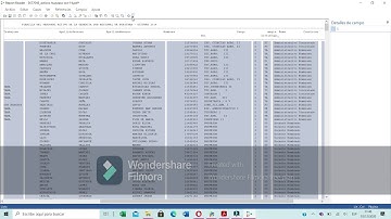 IMPORTAR BASE DE DATOS EN PDF A IDEA CASEWARE