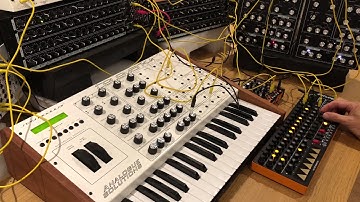 Analogue Solutions - controlled by Generator & Oberkorn sequencers