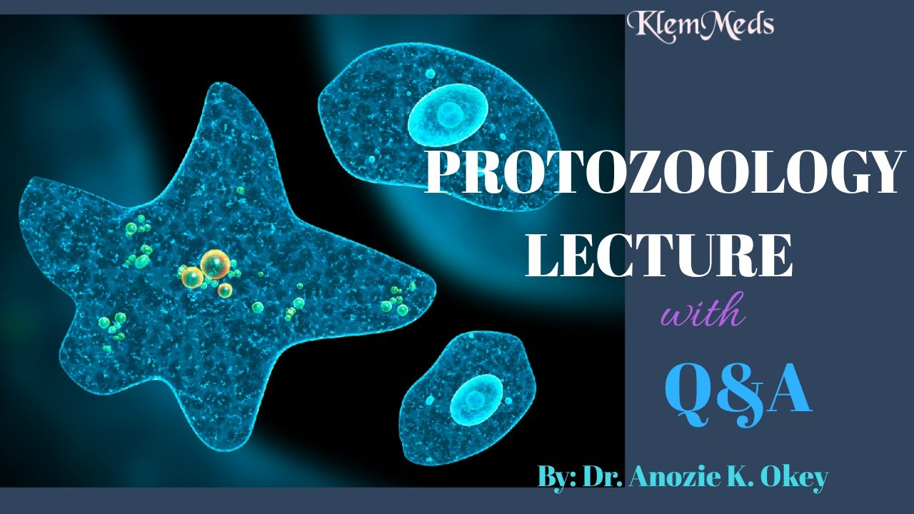 PROTOZOOLOGY LECTURE WITH QUESTIONS AND ANSWERS