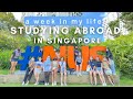 STUDY ABROAD IN SINGAPORE (NUS EXCHANGE) a week in my life