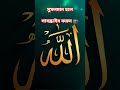 আল্লাহ তুমি সবাইকে মাফ করে দাও🕋🥺 #islamicvideo #islamicvideo #shortvideo #viral