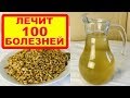 ОВЕС - ЛЕЧИТ 100 БОЛЕЗНЕЙ: печень, почки, бронхит, грипп, кашель, чистит кровь, укрепляет иммунитет