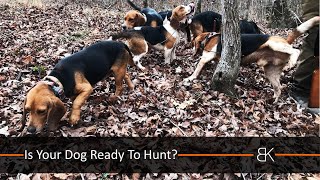 Is Your Dog Ready To Hunt? by Benson's Kennel 3,870 views 1 year ago 15 minutes