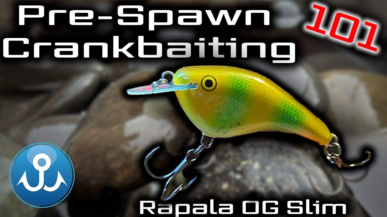 How To Fish Shallow Crankbaits For More Bites - Rapala