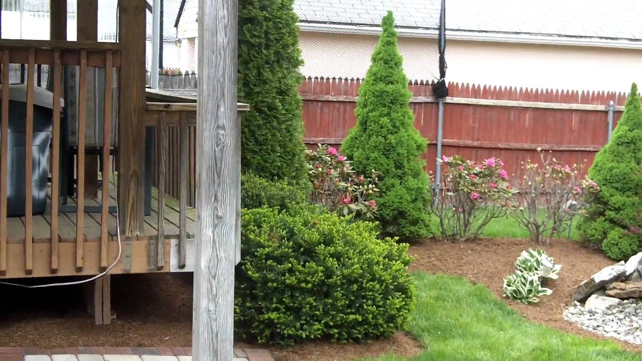 New yard - pink weeping cherry tree, cedar mulch 