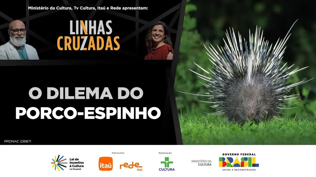 Linhas Cruzadas | O dilema do porco-espinho | 31/10/2024