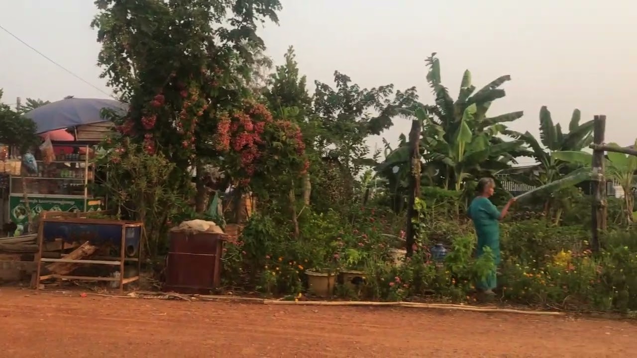 My mom always diligent working hard mom water on the plants 🪴 🌱 🌺 🍎