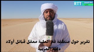 تقرير حول منطقة فم العلبة بولاية تاودني في شمال مالي المعقل الرئيسي لقبائل أولاد دليم العربية