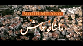                                  كلمات ماشافوهاش سمعها