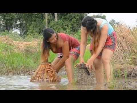 Wow!!Beautiful girl Fishing at battambang Khmer Net fishing How to catches Fish Part 136