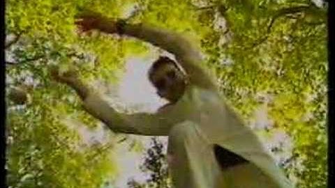 GTO - Pure (official video)