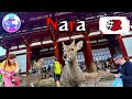 Nara 02