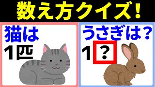 【数え方クイズ！】猫は１匹、うさぎは？数え方の由来【珍しい数え方の単位まとめ】