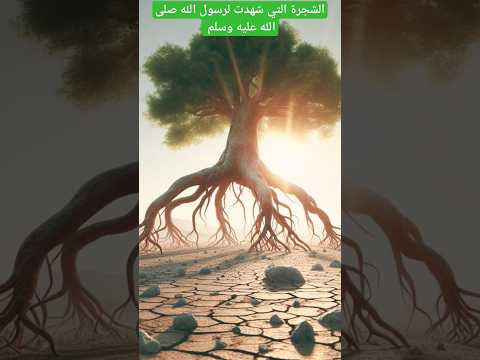 قصة الشجرة التي تخلصت من جدورها وأتت الى رسول الله قصص ثقافة إسلامية معلومات إسلاميات قصة قصص