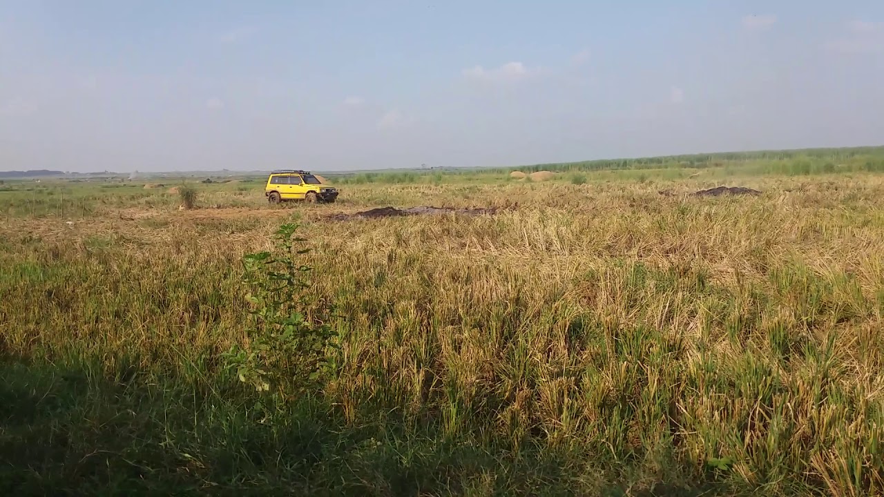Offroad di Sawah (Vitara)