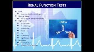 Critical Care Paramedic 4:  Interpretation of Lab and Basic Diagnostic Tests