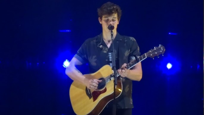 Shawn Mendes I Don't Even Know Your Name ⁄ Aftertaste ⁄ Kid In Love ( Live  At Madison Square Garden) : Free Download, Borrow, and Streaming : Internet  Archive