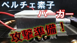 「ペルチェ素子」リクエスト実験②　水冷ブロックを挟んで冷やせ！