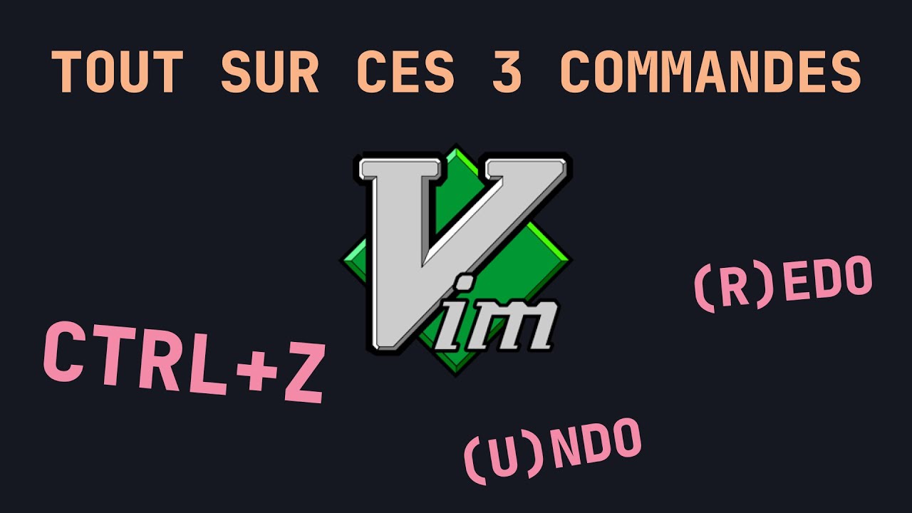  ctrl z une commande vim sous estim e vim neovim fg redo undo